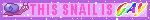 A blinkie with a purple snail, and the words, this snail is gay, end quote, with the word gay in rainbow letters.
